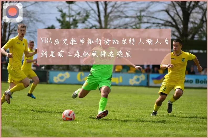 NBA历史胜率排行榜凯尔特人湖人马刺居前三森林狼排名垫底